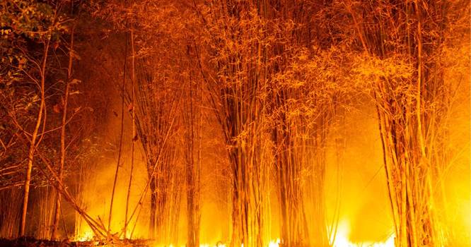 what is fire damage restoration