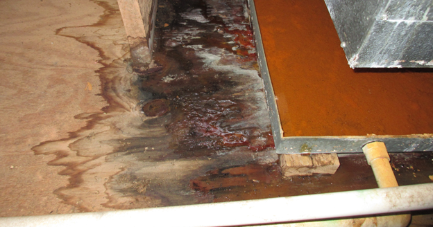 water damage restoration pros